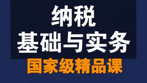 纳税基础与实务【国家级精品课】