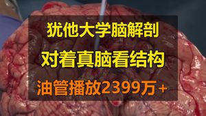 脑部解剖学-犹太大学-Brain Anatomy for Health Professionals