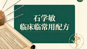 石学敏临床常用30腧穴配方 全80讲
