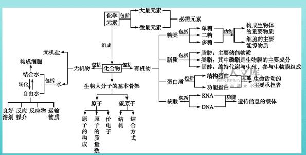【2023】高中生物必修1课程
