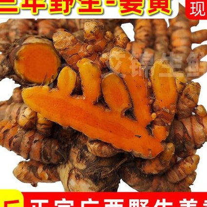 南极两万里 - 自然生态 南极两万里 - 自然生态
