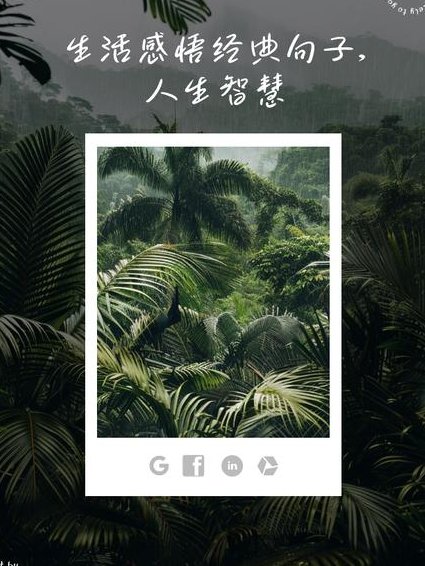 话里有乾坤 - 智慧